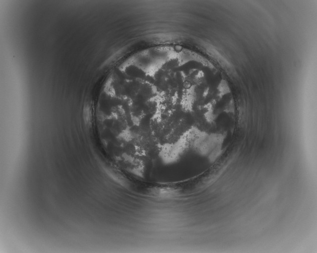 X0000111460165200908031347