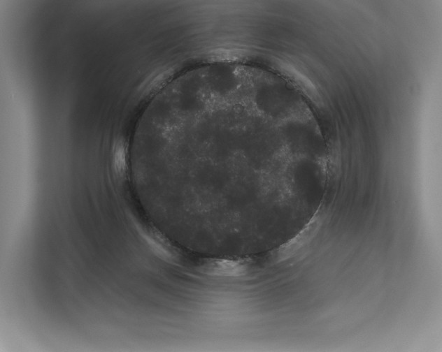 X0000111460166200908031347