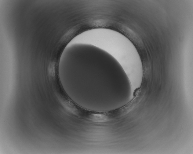 X0000111460167200908031347