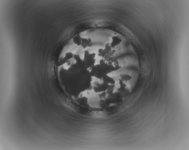 X0000111460169200908031347