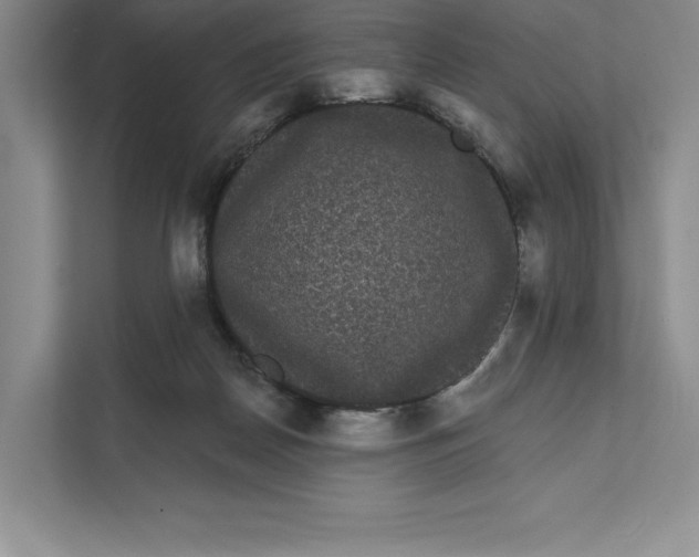 X0000111460170200908031347