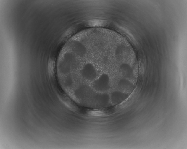 X0000111460171200908031347