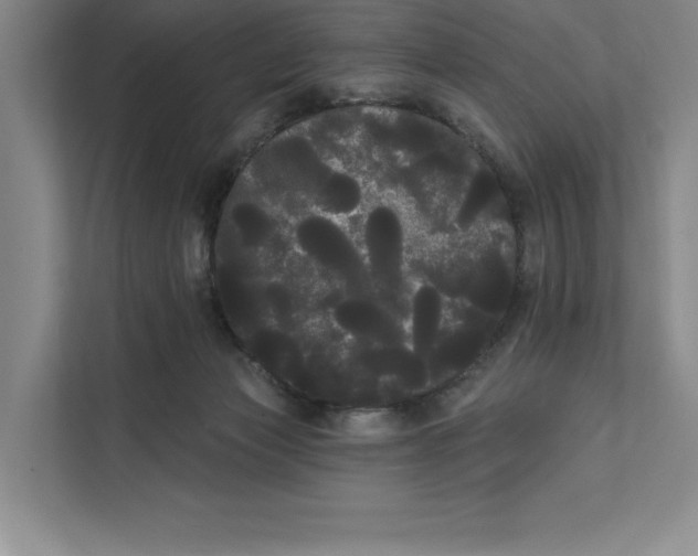 X0000111460173200908031347