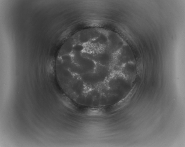 X0000111460175200908031347