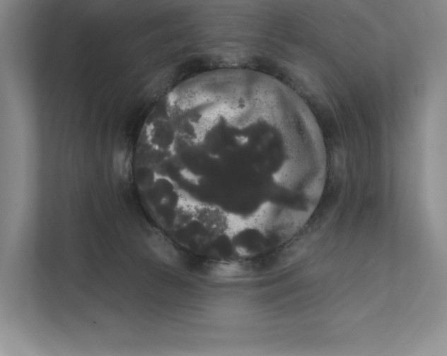 X0000111460177200908031347