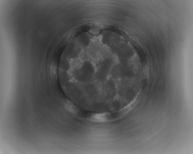 X0000111460178200908031347