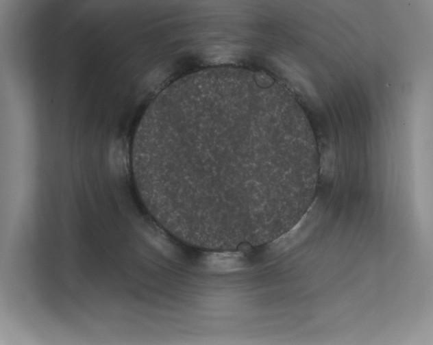 X0000111460179200908031347
