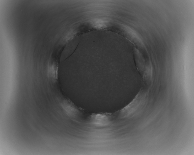 X0000111460180200908031347