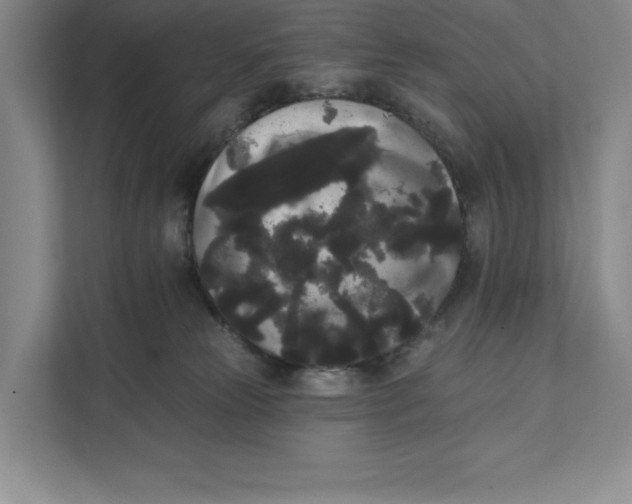 X0000111460181200908031347