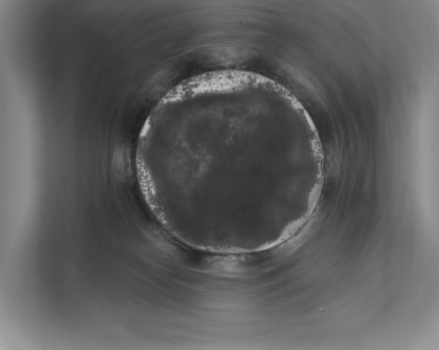 X0000111460182200908031347