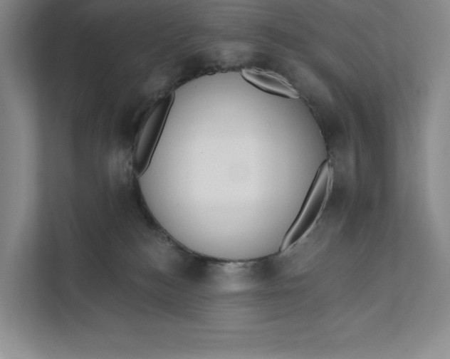 X0000111460184200908031347