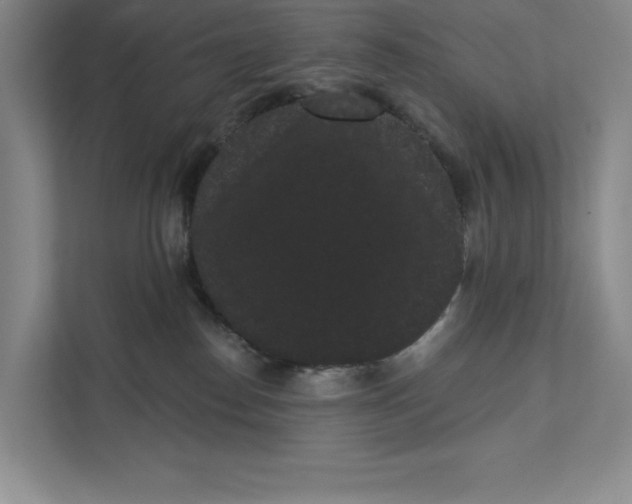 X0000111460186200908031347