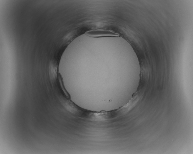 X0000111460188200908031347