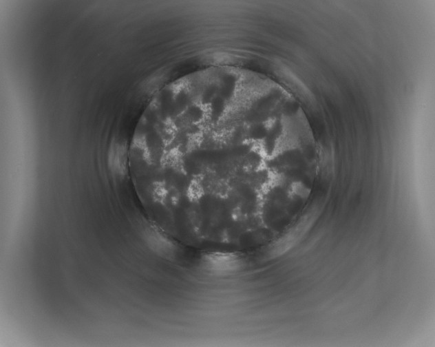 X0000111460189200908031347