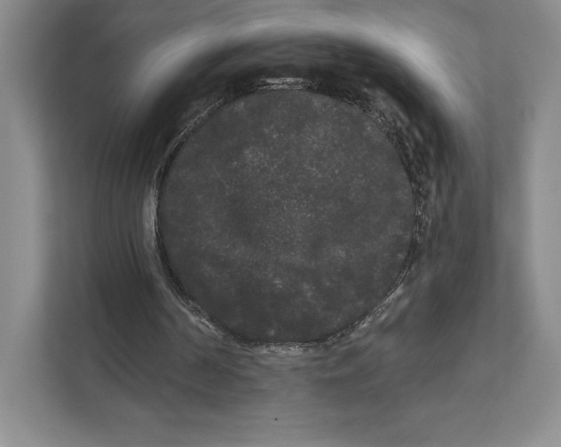 X0000111460194200908031346