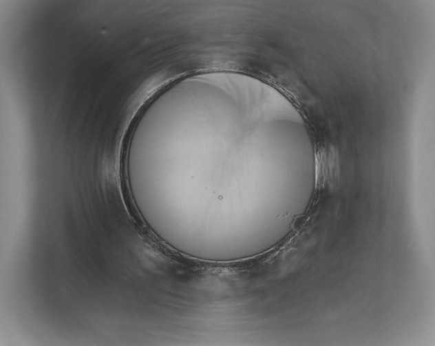 X0000111460195200908031346