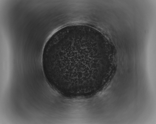 X0000111460196200908031346