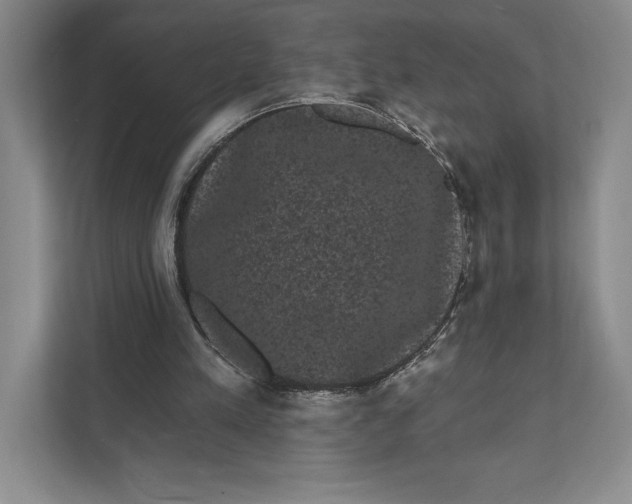 X0000111460197200908031346