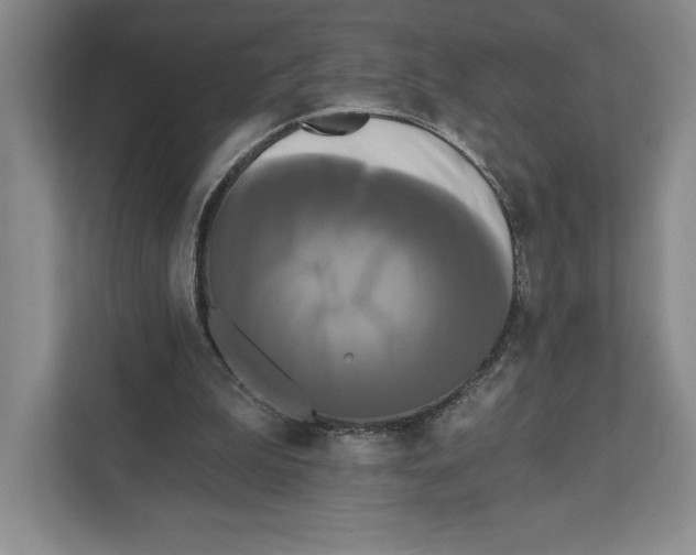 X0000111460199200908031346