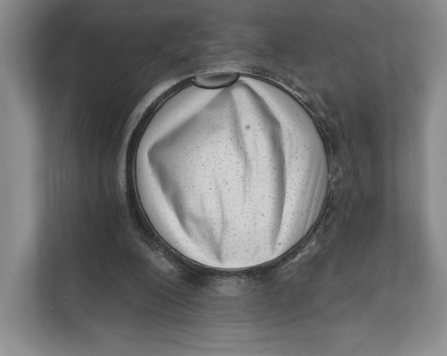 X0000111460200200908031346