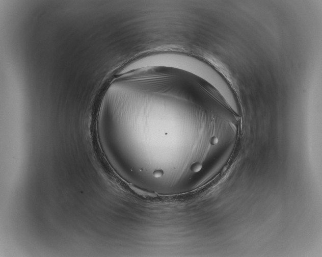 X0000111460201200908031346