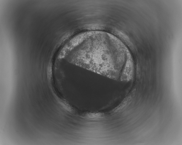 X0000111460202200908031346