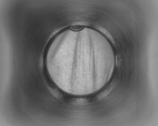 X0000111460204200908031346