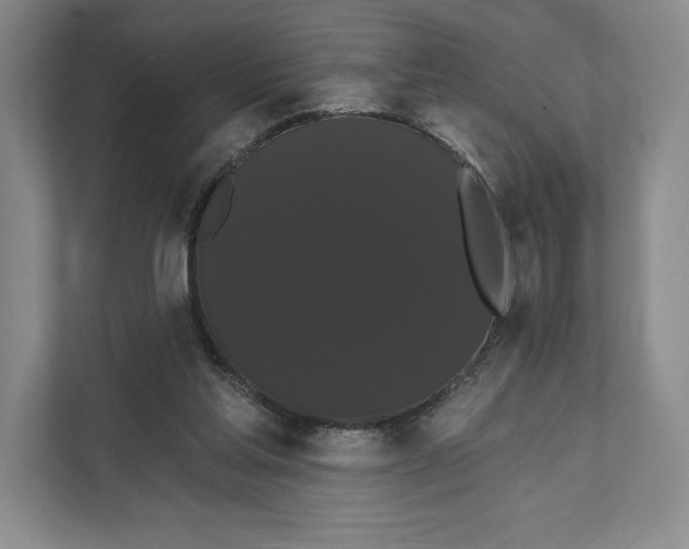 X0000111460205200908031346