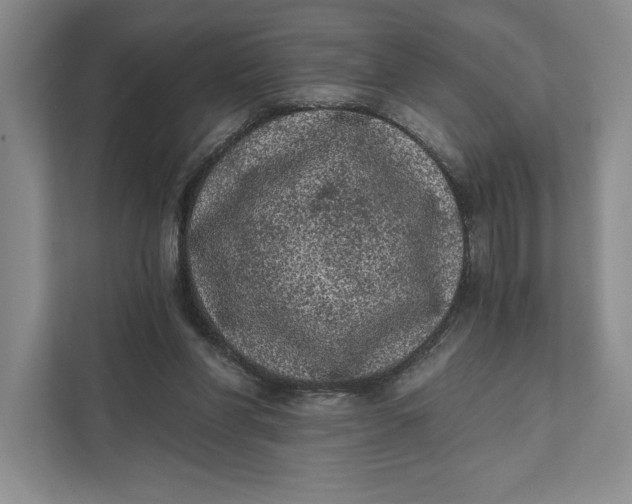 X0000111460206200908031346