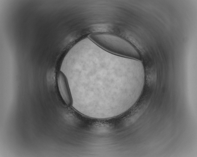 X0000111460207200908031346