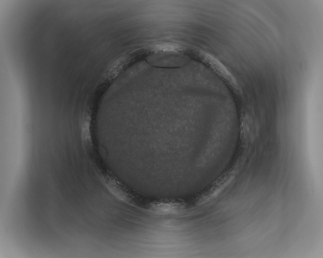 X0000111460209200908031346