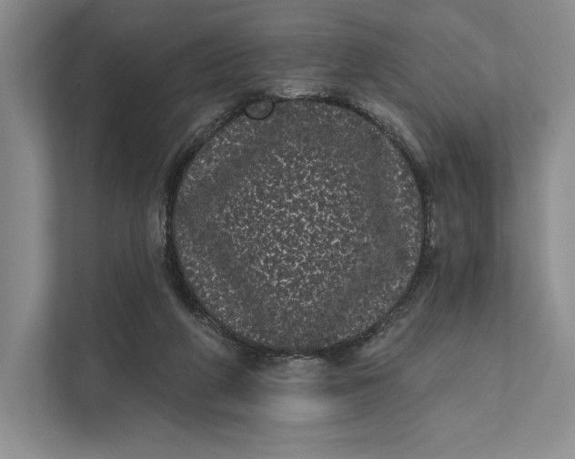 X0000111460210200908031346