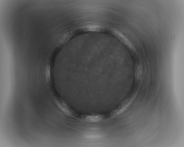 X0000111460213200908031346