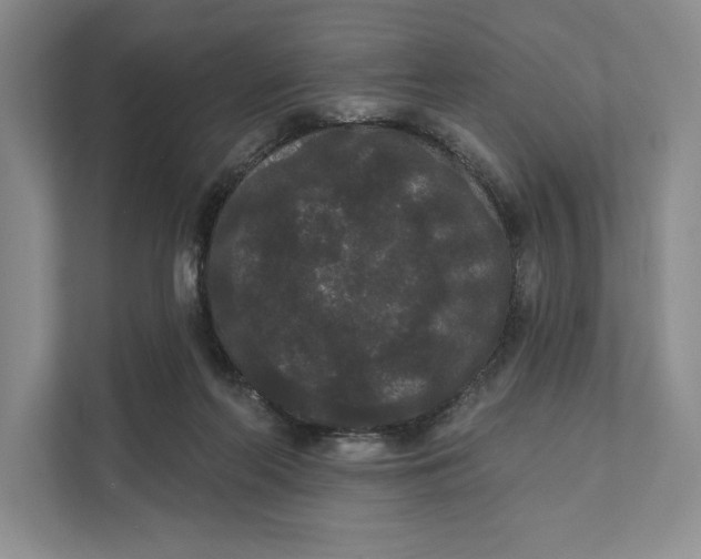 X0000111460214200908031346