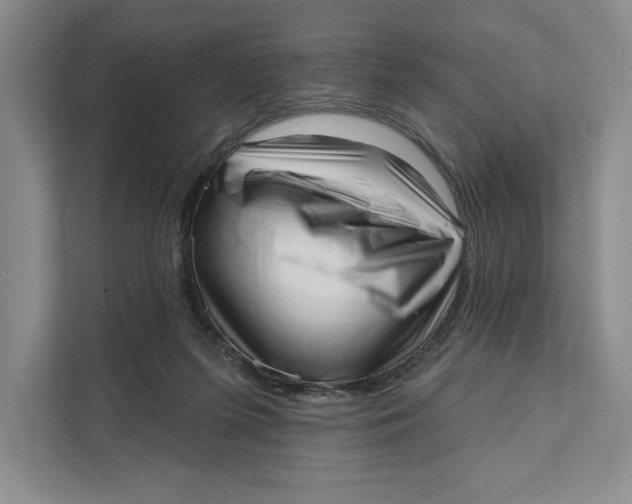 X0000111460215200908031346