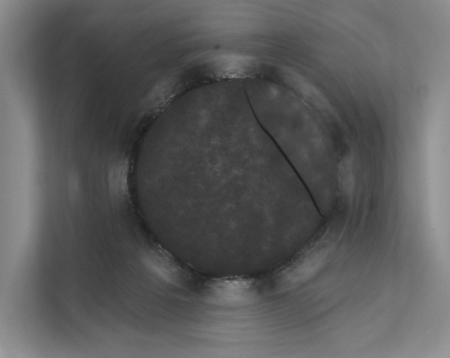 X0000111460217200908031346