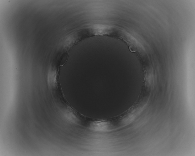 X0000111460219200908031346