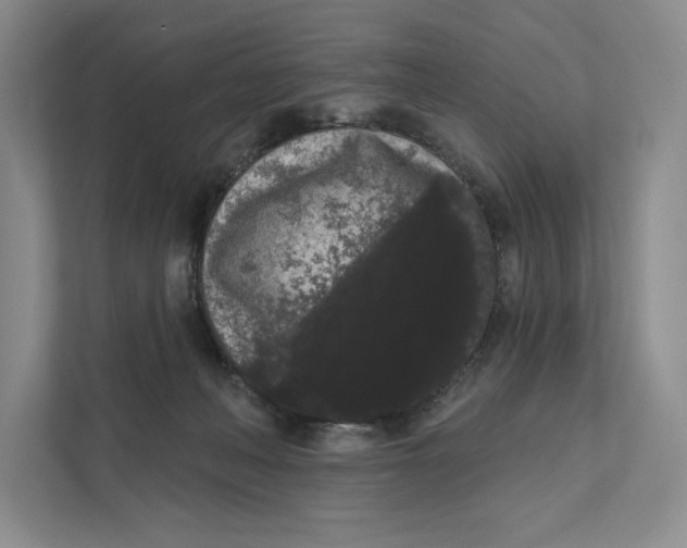 X0000111460222200908031346
