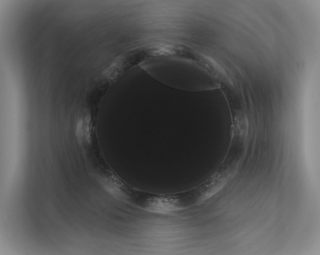 X0000111460223200908031346