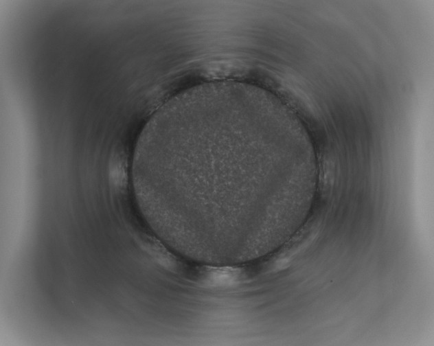 X0000111460226200908031346