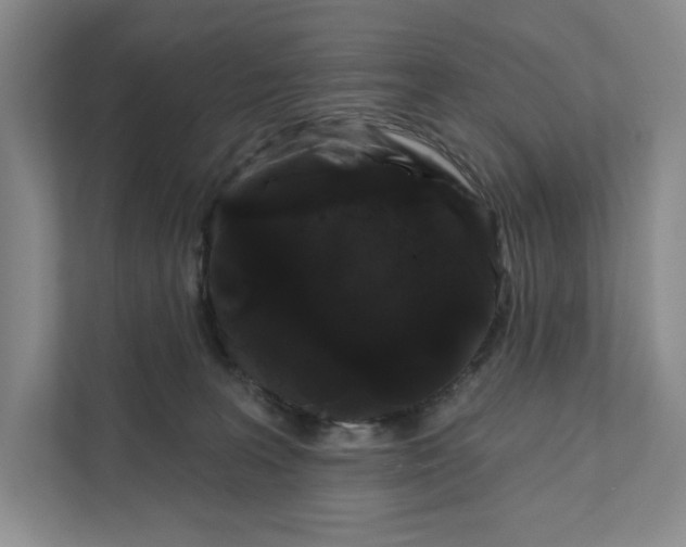 X0000111460227200908031346