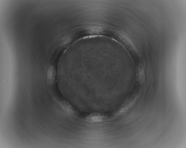 X0000111460228200908031346