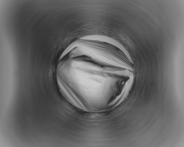 X0000111460229200908031346