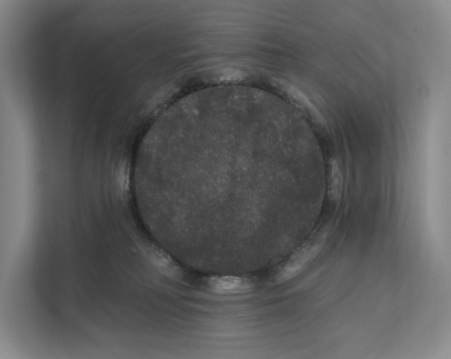 X0000111460230200908031346