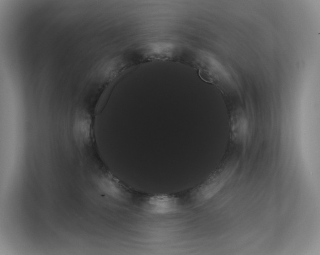 X0000111460231200908031346