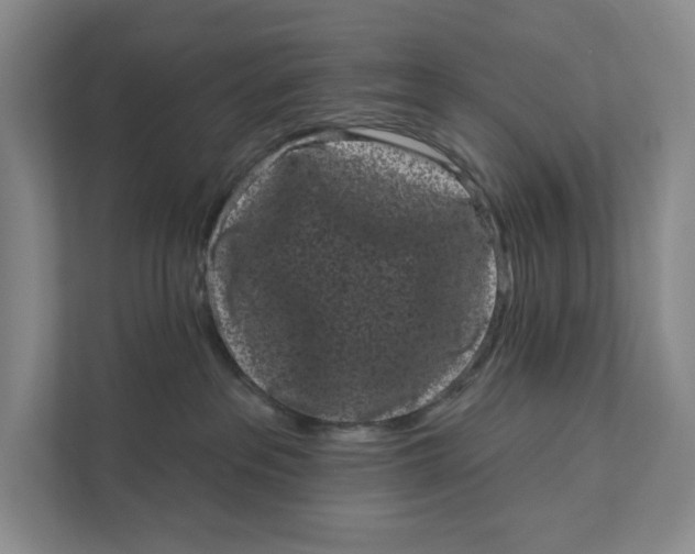 X0000111460237200908031346
