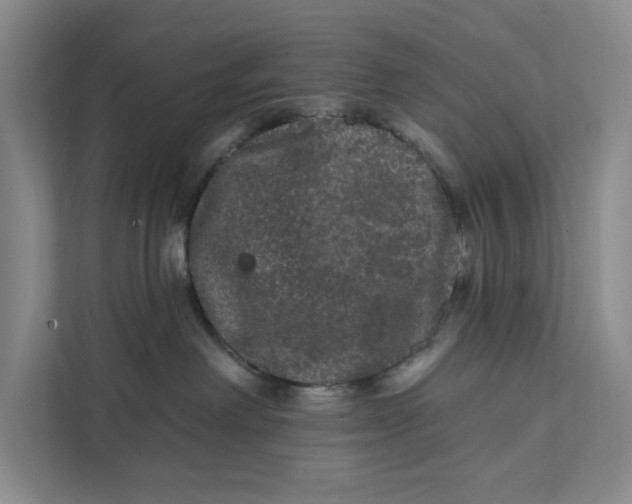 X0000111460238200908031346