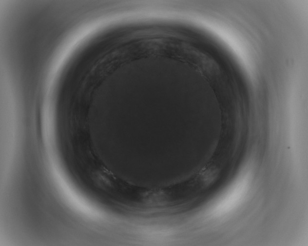 X0000111460239200908031346