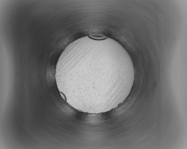 X0000111460240200908031346