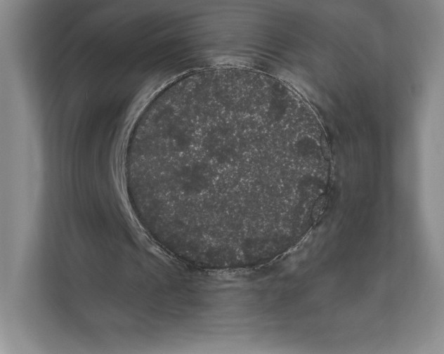 X0000111460241200908031345